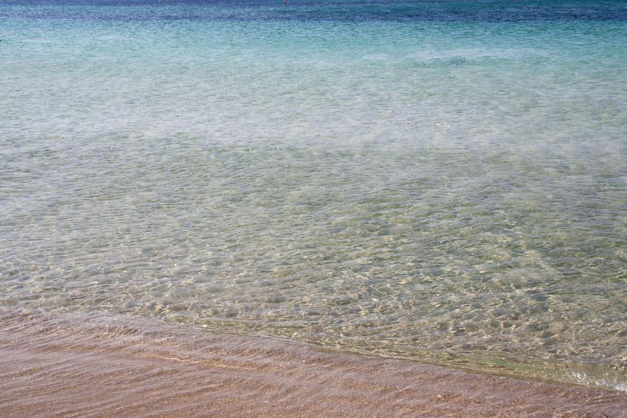 Appartamento Fronte Mare E Spiaggia Torre Mozza Exterior foto